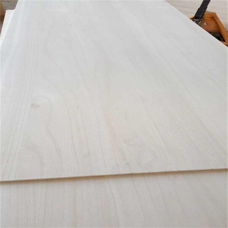 2 * 4 Cov Thawj Coj Paulownia