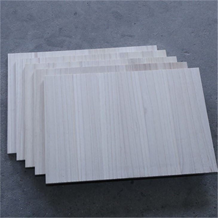 Paulownia Taekwondo Rhuav Pawg Thawj Coj